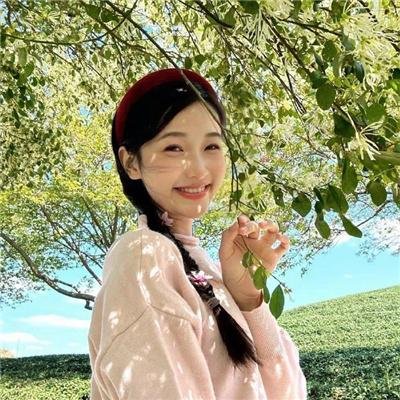 野探哈莉第四季